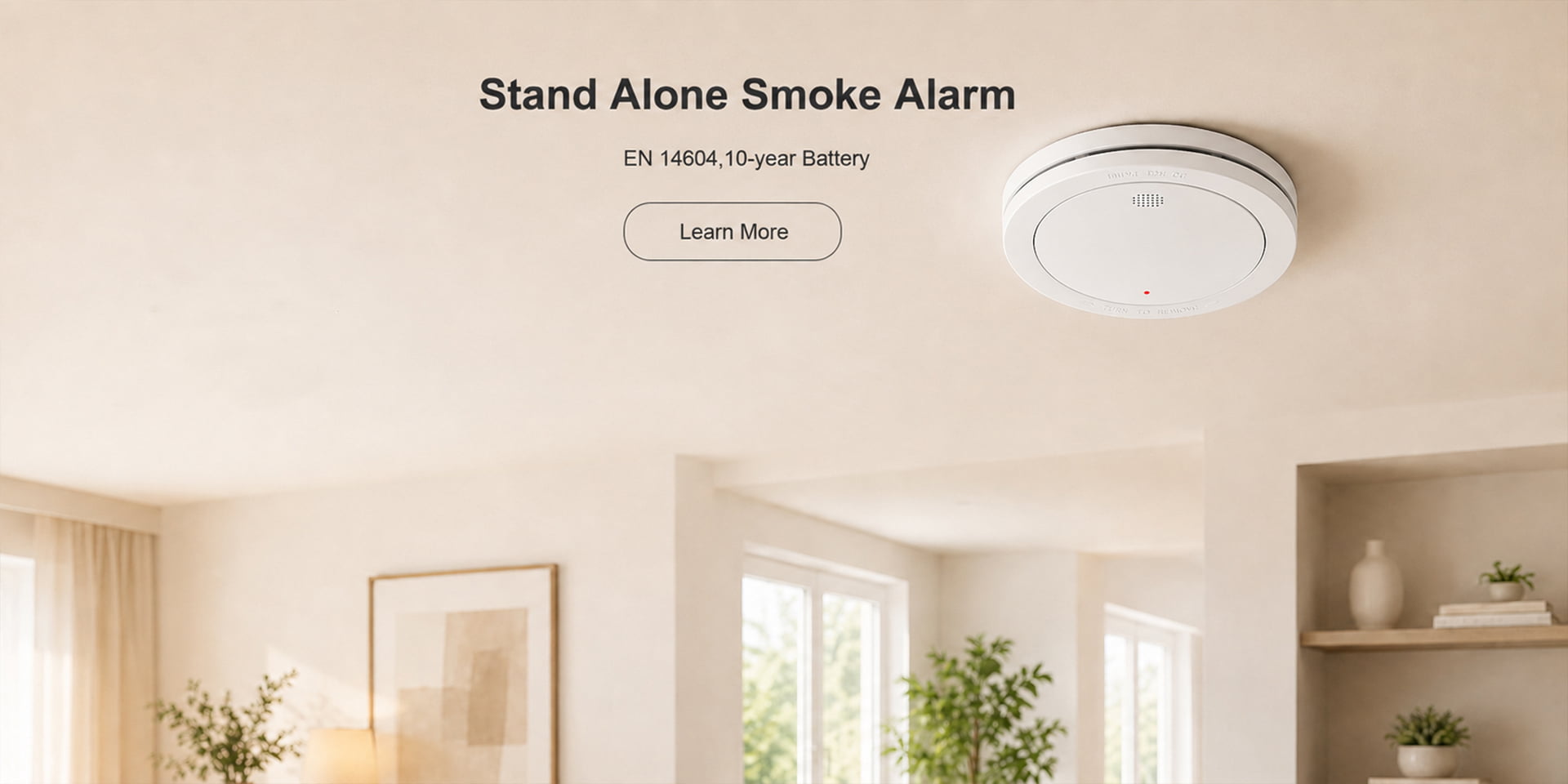 standalone smoke alarm