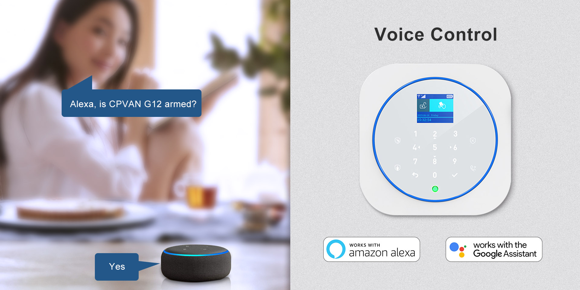 WiFi+GSM Alarm System