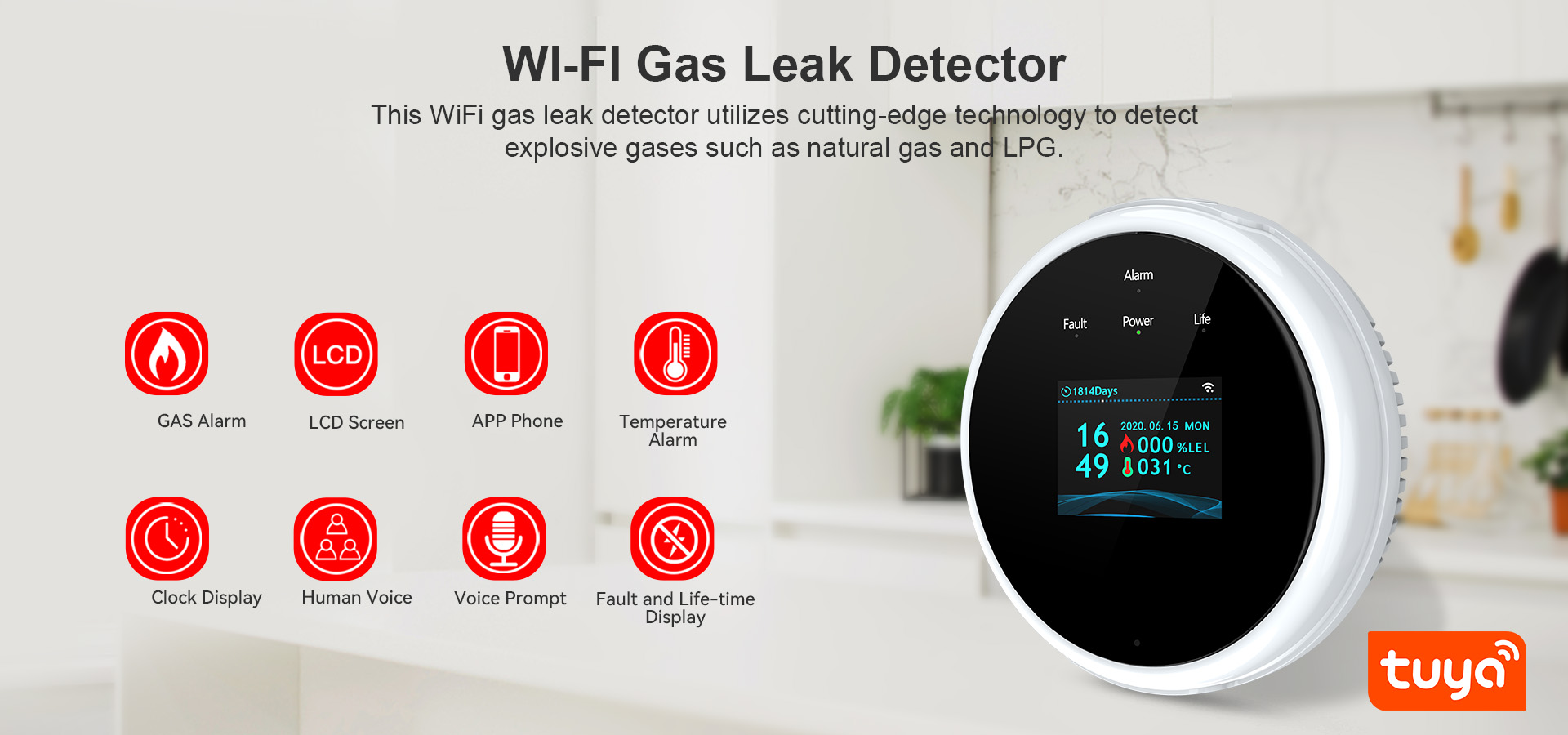 WIFI Gas Leak Detector