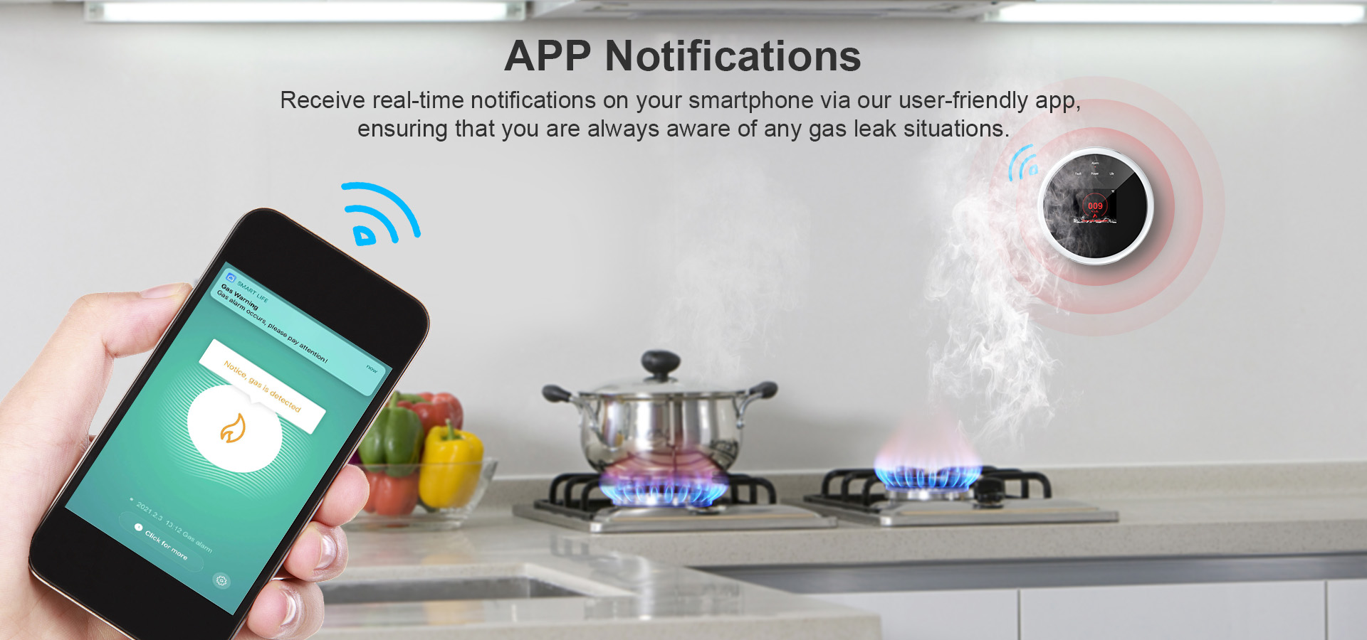 WIFI Gas Leak Detector