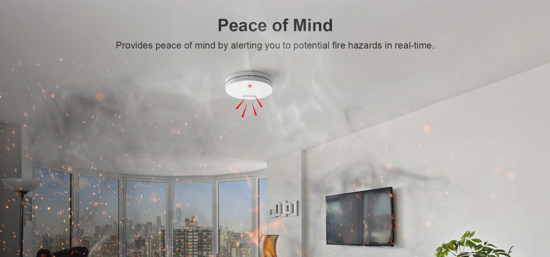 Wifi Smoke Alarm