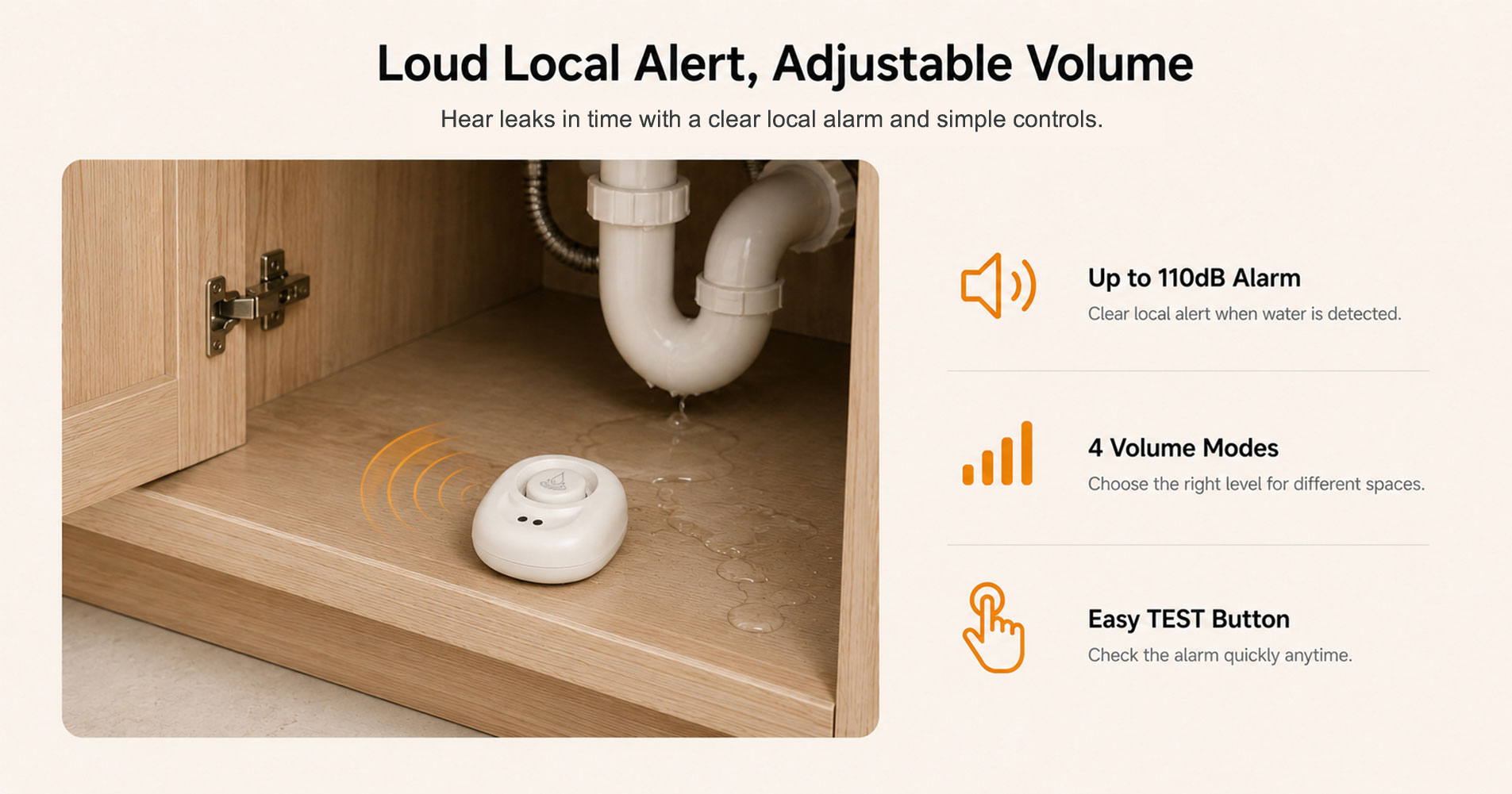 Standalone Water Leak Detector