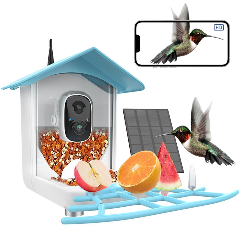 Bird Feeder with Camera