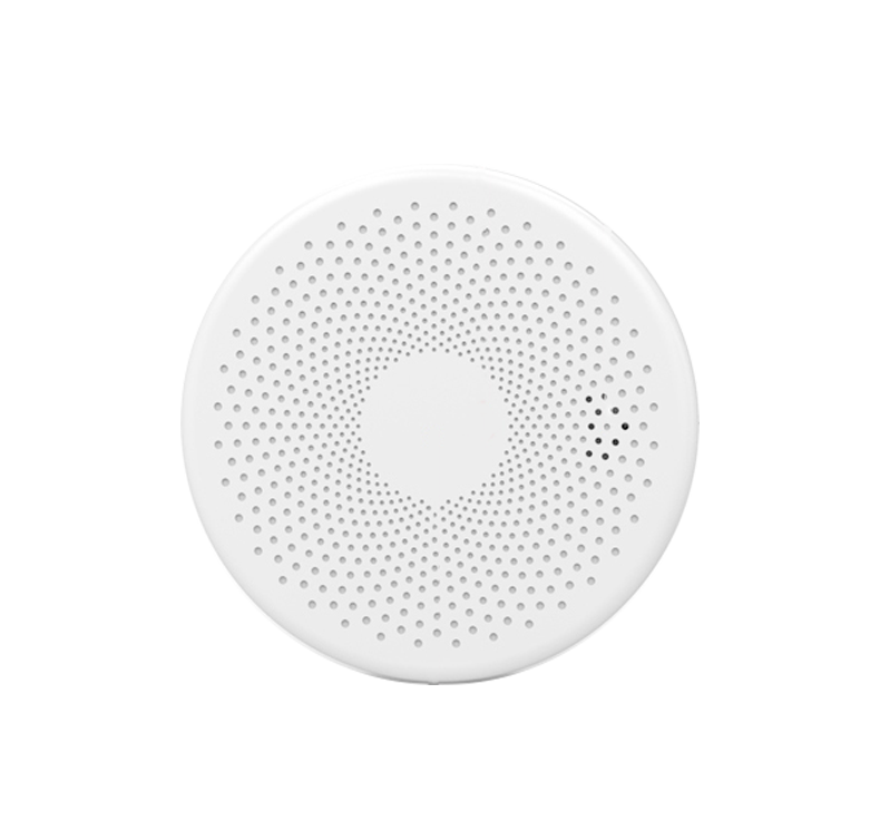 Smoke and Carbon Monoxide Alarm