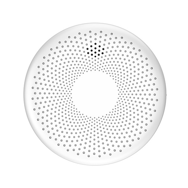 Smoke and Carbon Monoxide Alarm